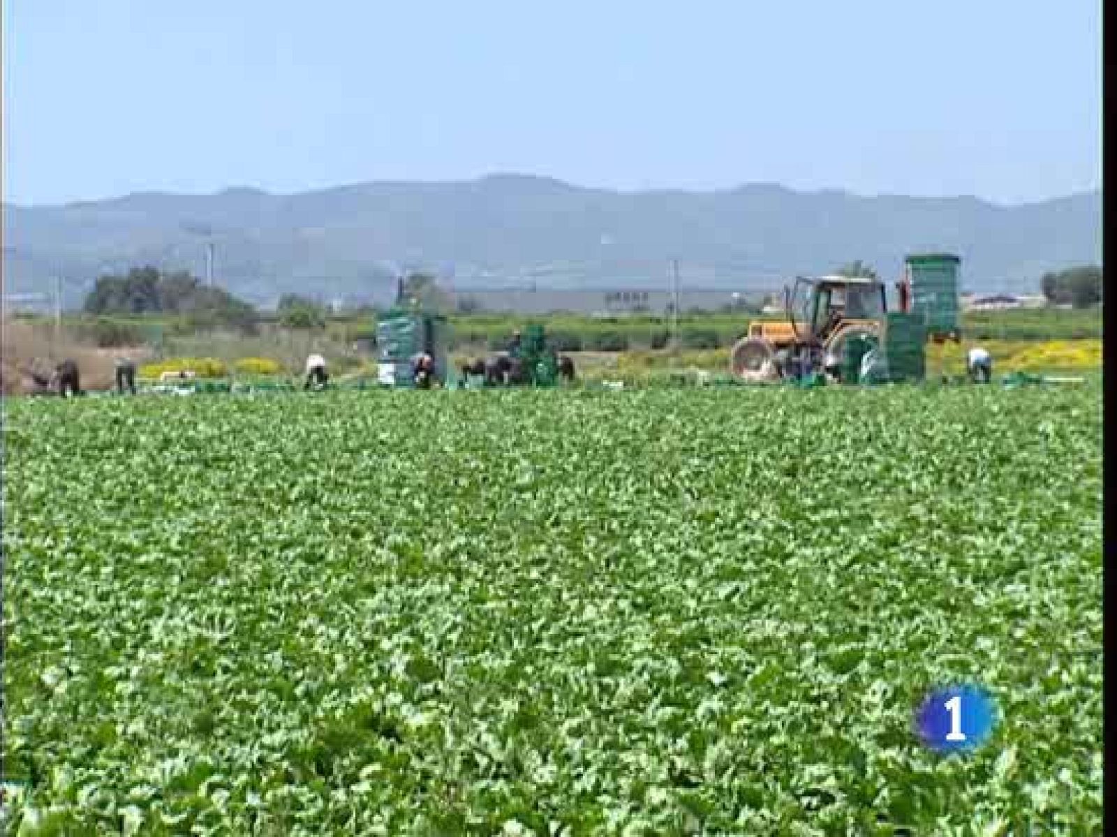 Los regantes del Levante dicen que la retirada del proyecto de reforma del estatuto castellano manchego les deja más tranquilos | Ver