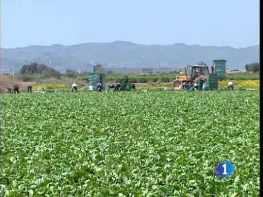  - Los regantes de Levante, tranquilos