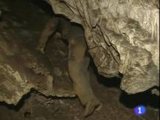 Noticias Aragón - Noticias Aragón - 26/04/10