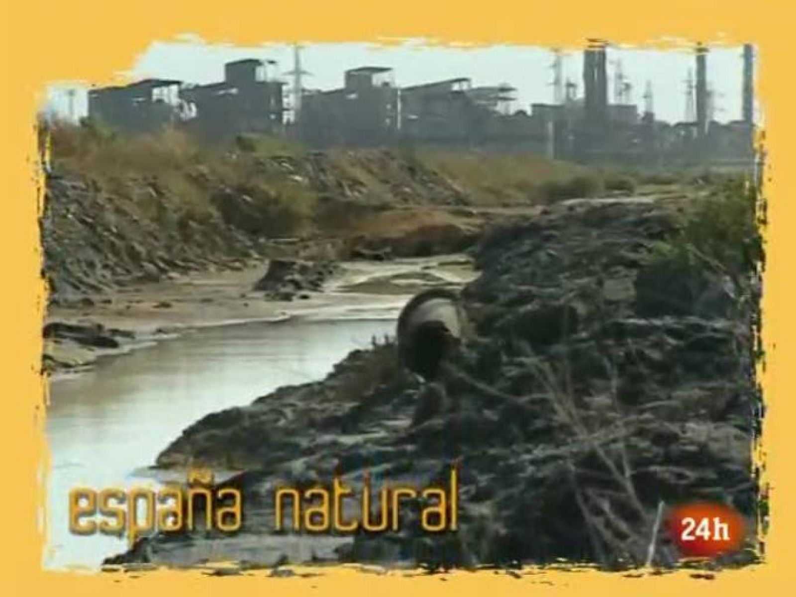 NATURAL:  Recuperar el hábitat para salvar la especie (19/04/10)