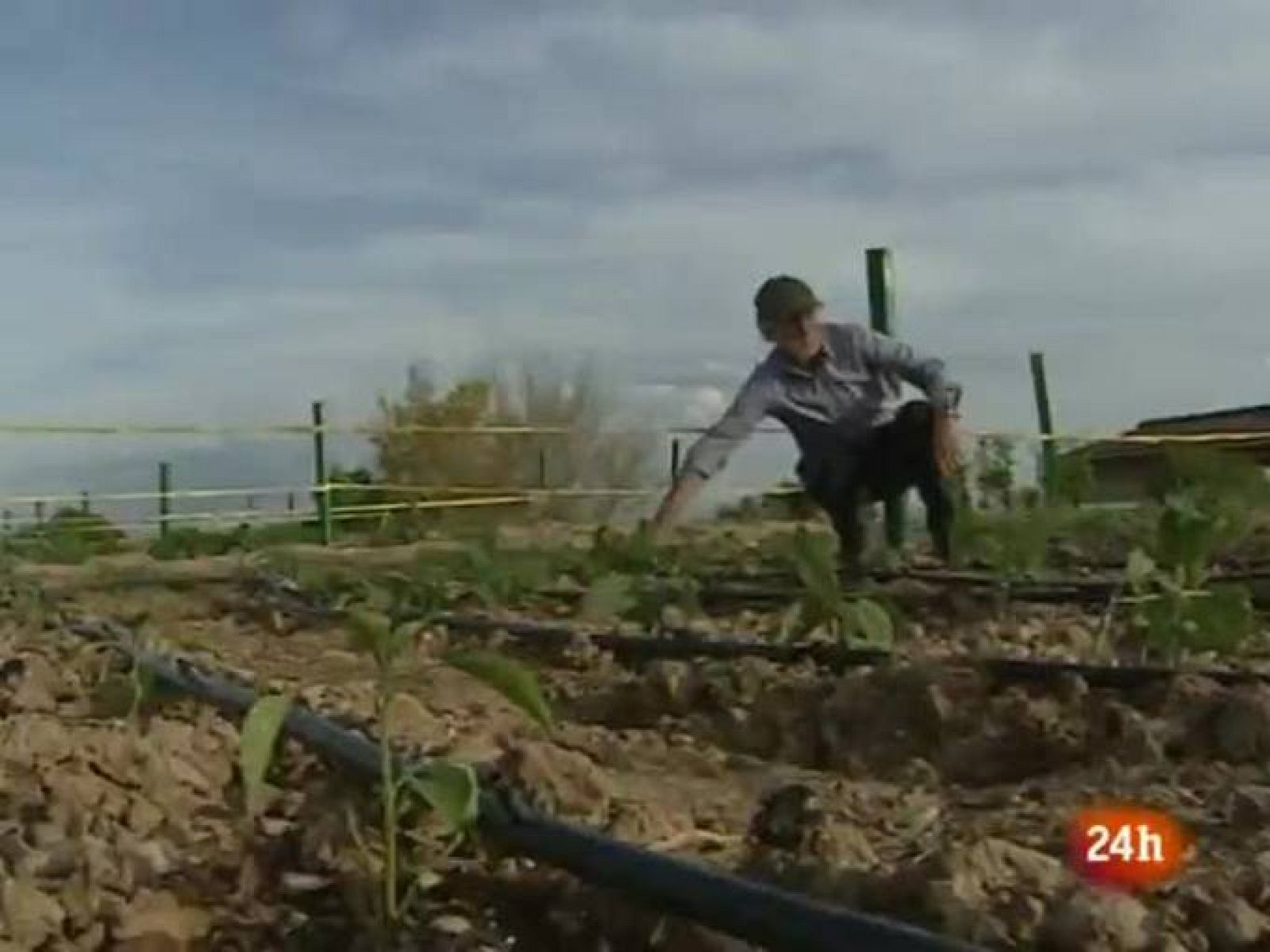 NATURAL: Huertos anti-estrés (26/04/10)