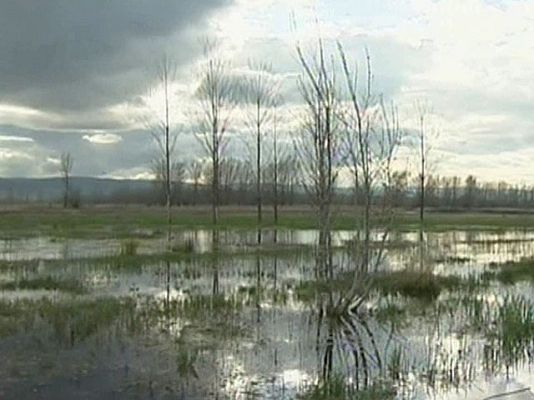 Ciencia y tecnología en Rtve.es - Recuperando la laguna de Cañizar