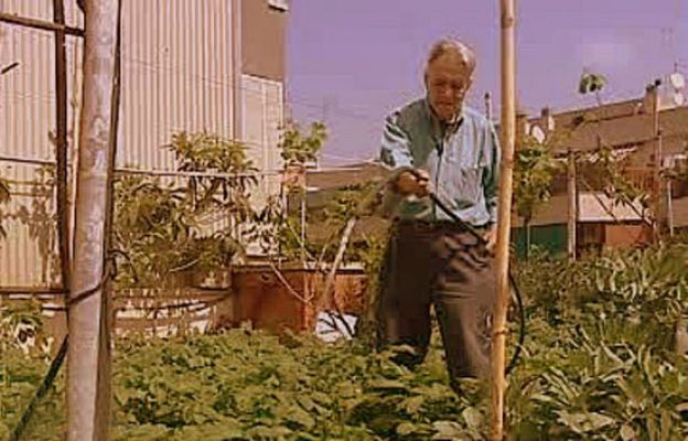 España Directo - Un huerto en la terraza