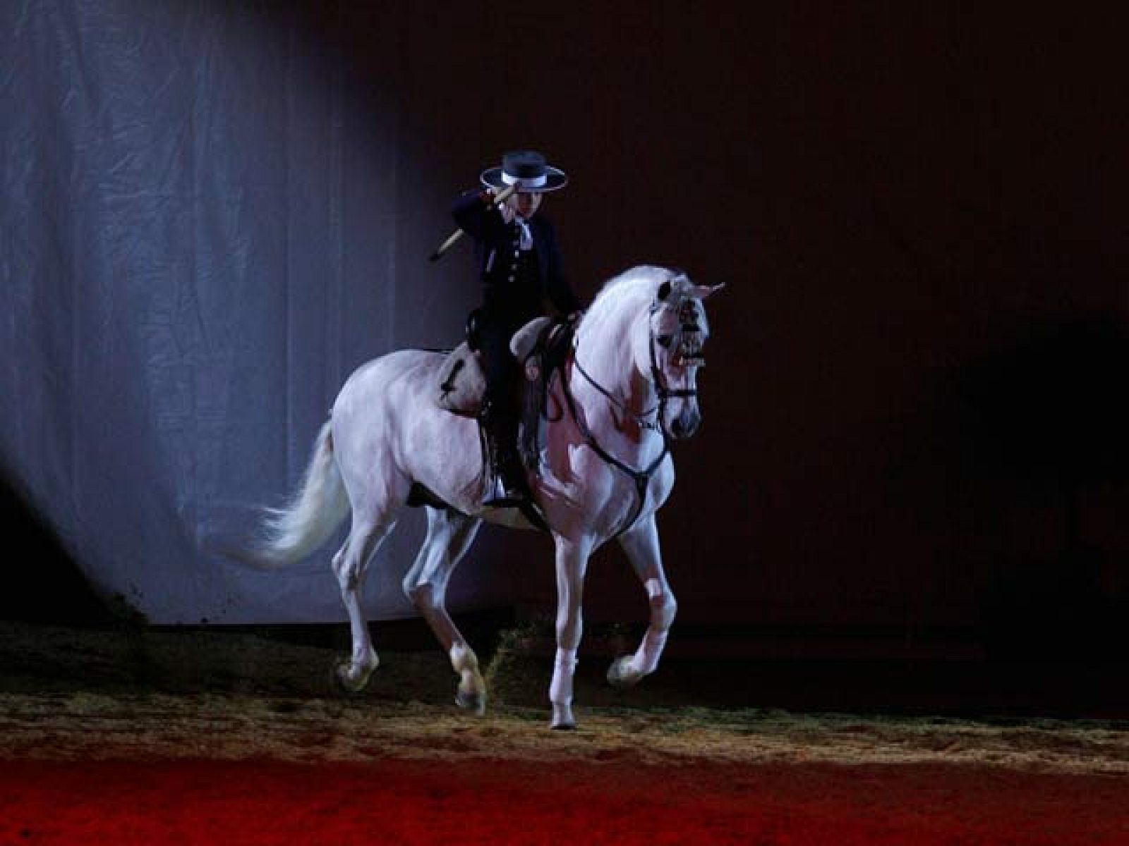 Las comparaciones entre motos y caballos son habituales.