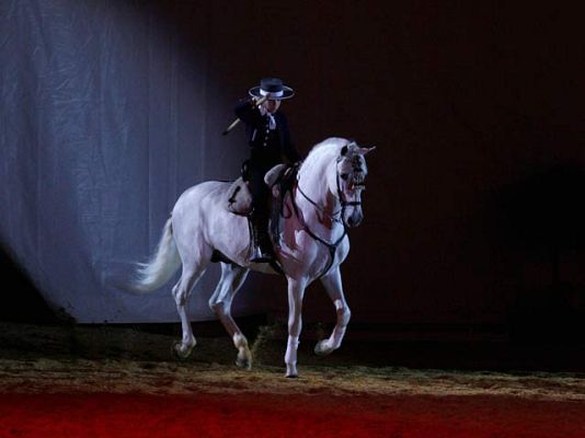  - Sobre caballos y motos