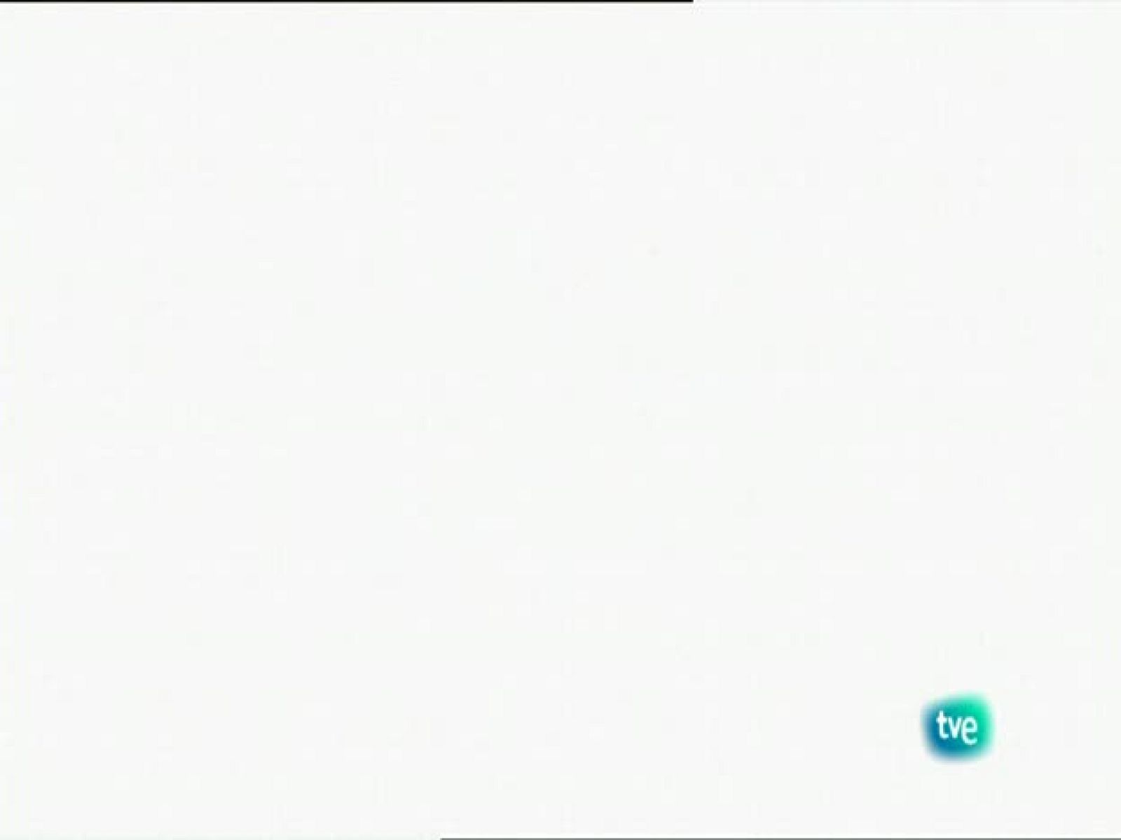 Biodiario - La gaviota picofina - Biodiario | Ver