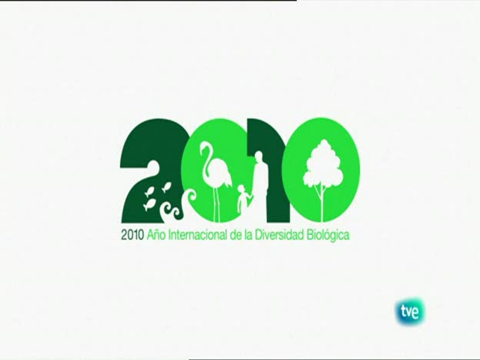 Biodiario - La cigüeñela - Biodiario | Ver