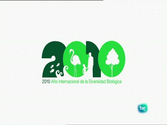 Biodiario - La cigüeñela