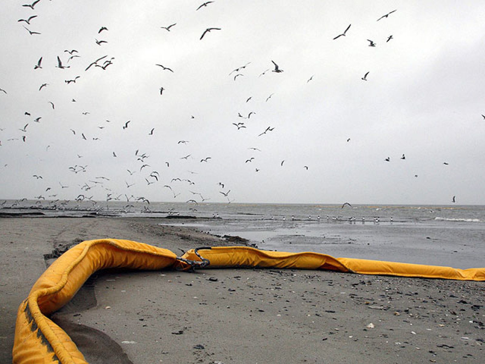 La mancha de petróleo sigue avanzando