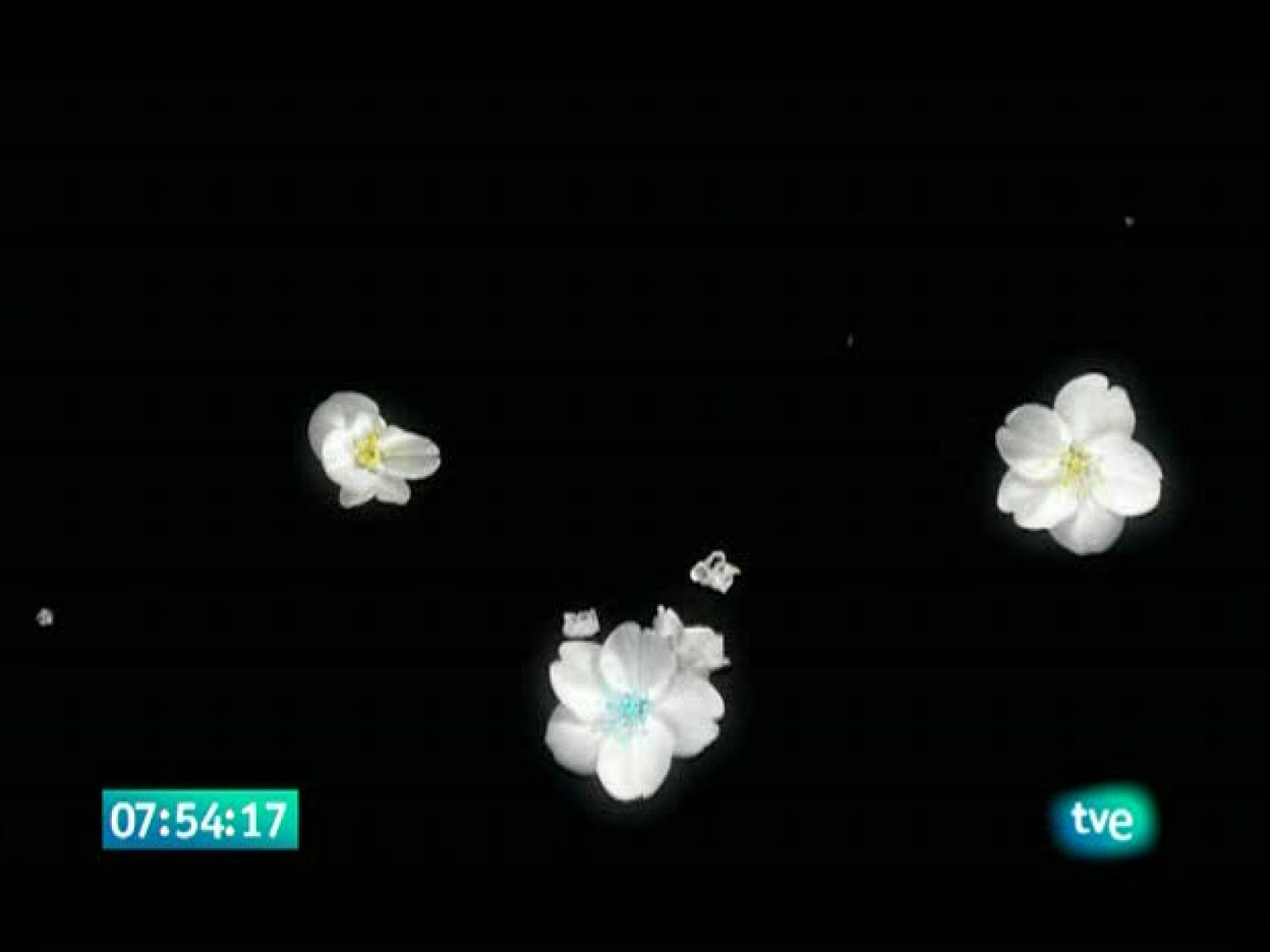 El jardín de los sueños - El Jardín de los Sueños | Ver