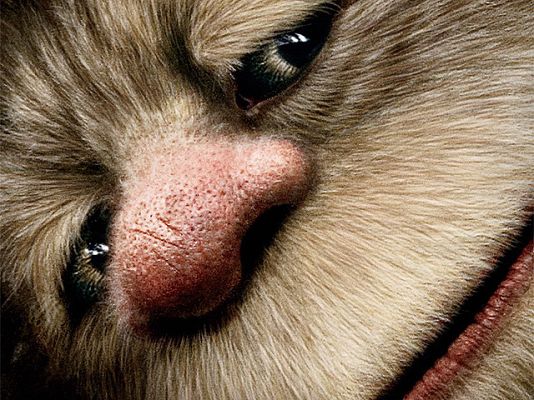 Días de cine - DVD: 'Donde viven los monstruos'