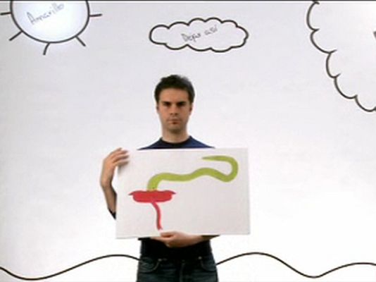 Zzz - Zzz - 28/04/10