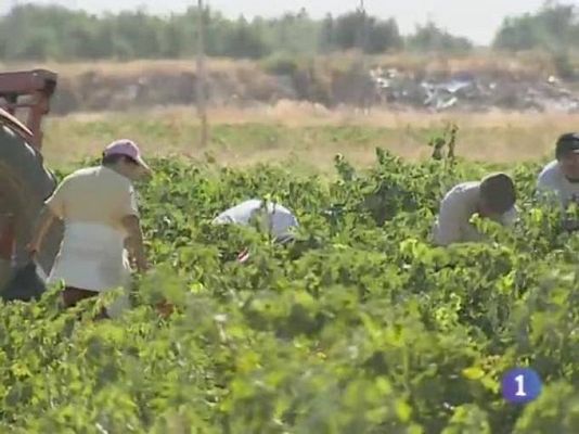 Noticias de Castilla-La Mancha - Noticias de Castilla-La Mancha - 03/05/10