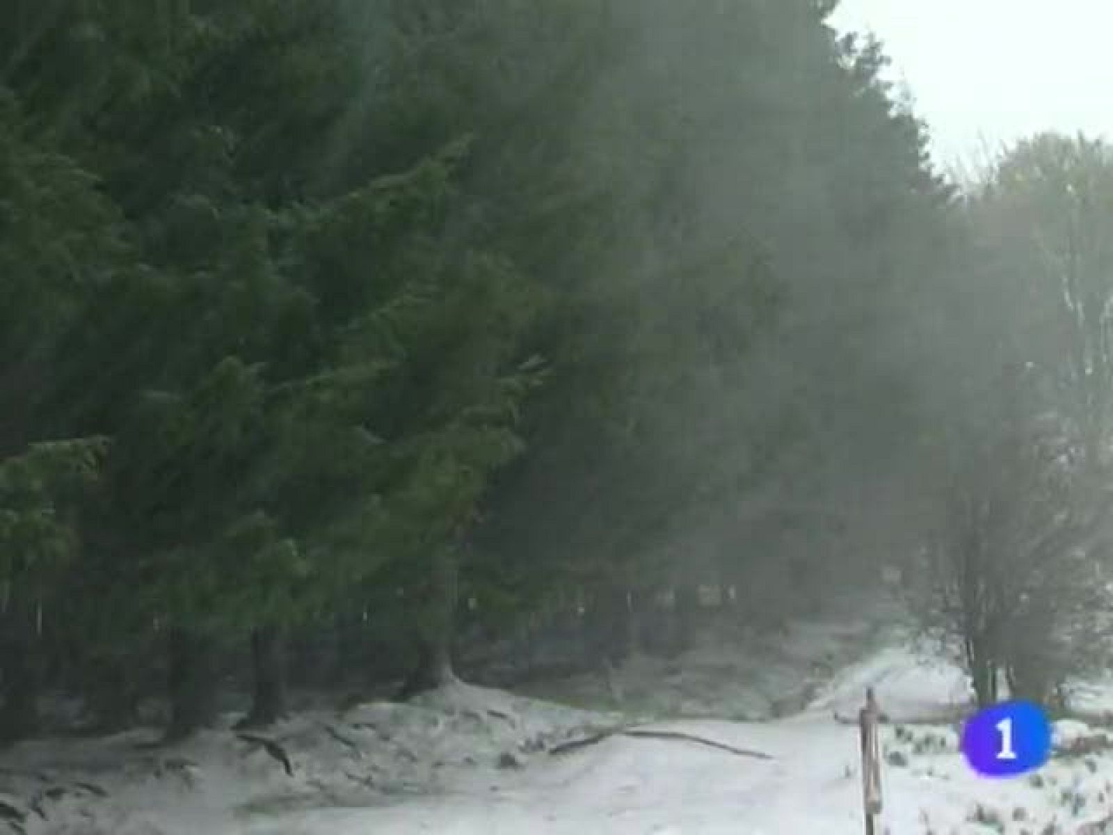 Telenavarra. Informativo territorial de Navarra. (04/05/2010)