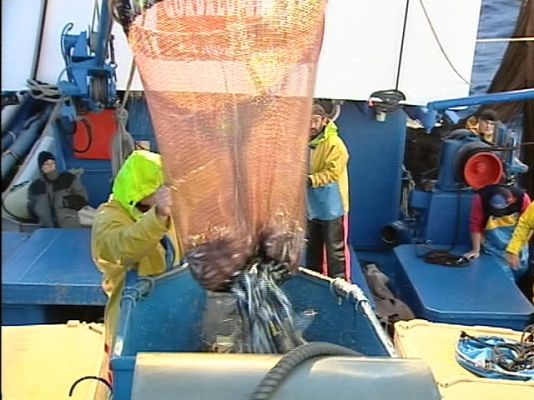  - En busca de anchoa