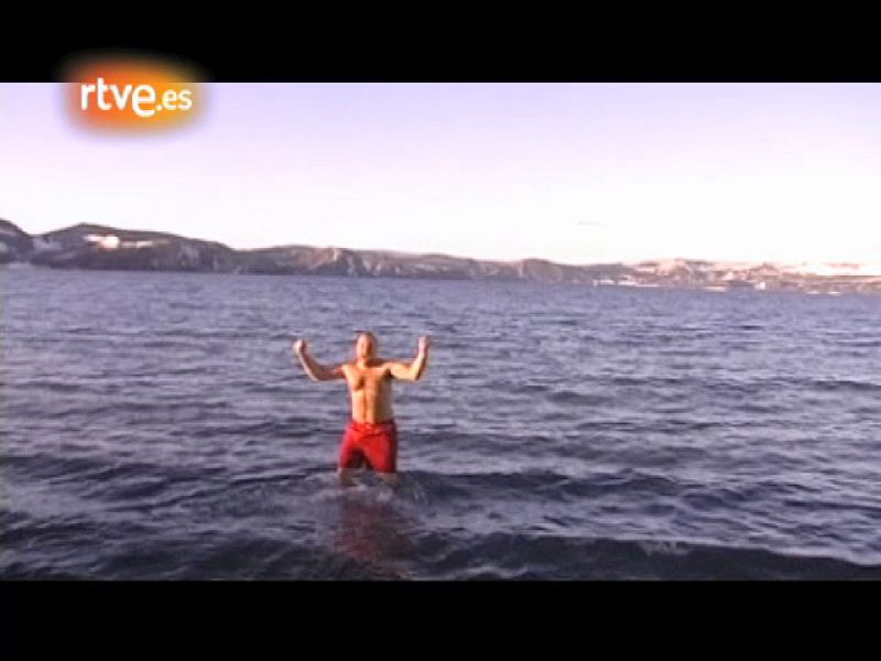 Crónicas - Baño antártico, grito antártico - Crónicas | Ver