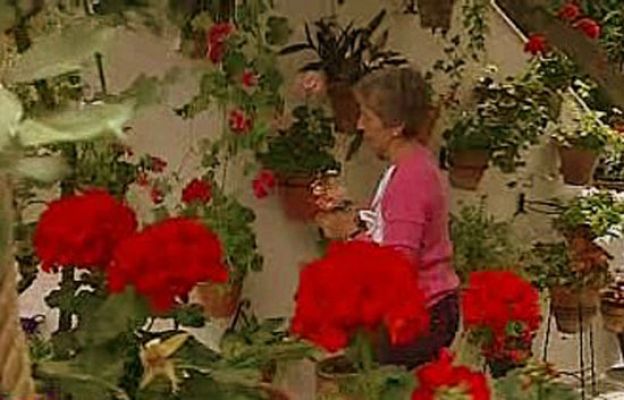 España Directo - Patios de Córdoba