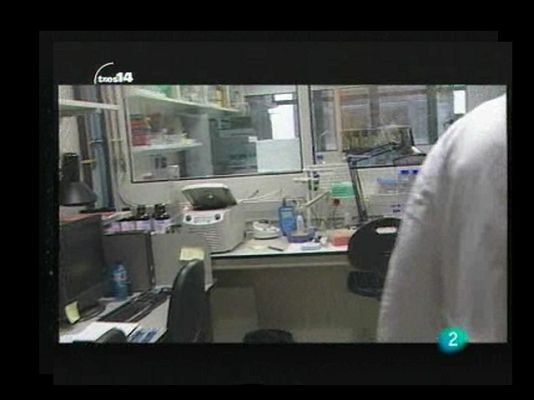 tres14 - Los antibióticos del futuro