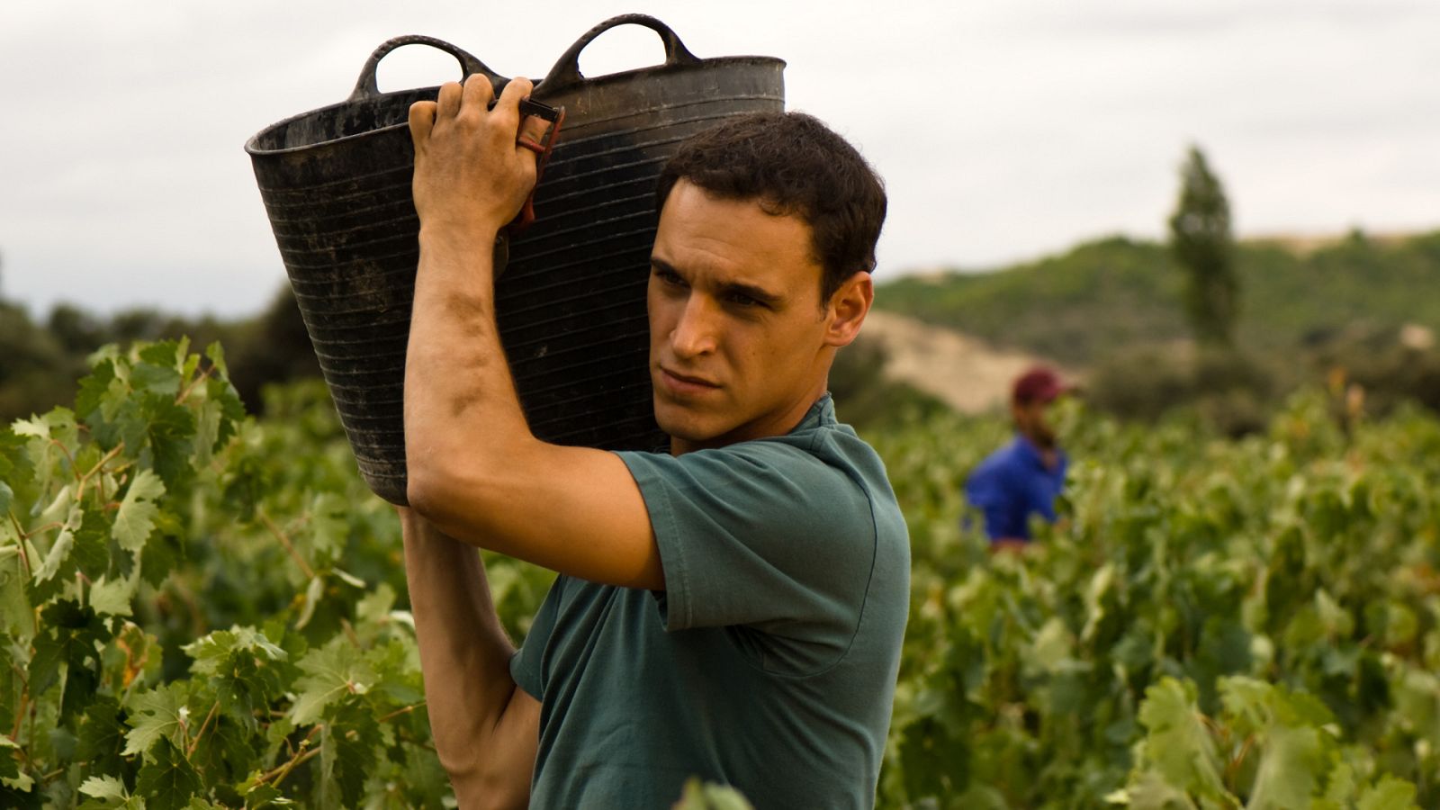 Gran Reserva - Temporada 1 - Episodio 4: Unión y fuerza - Ver ahora