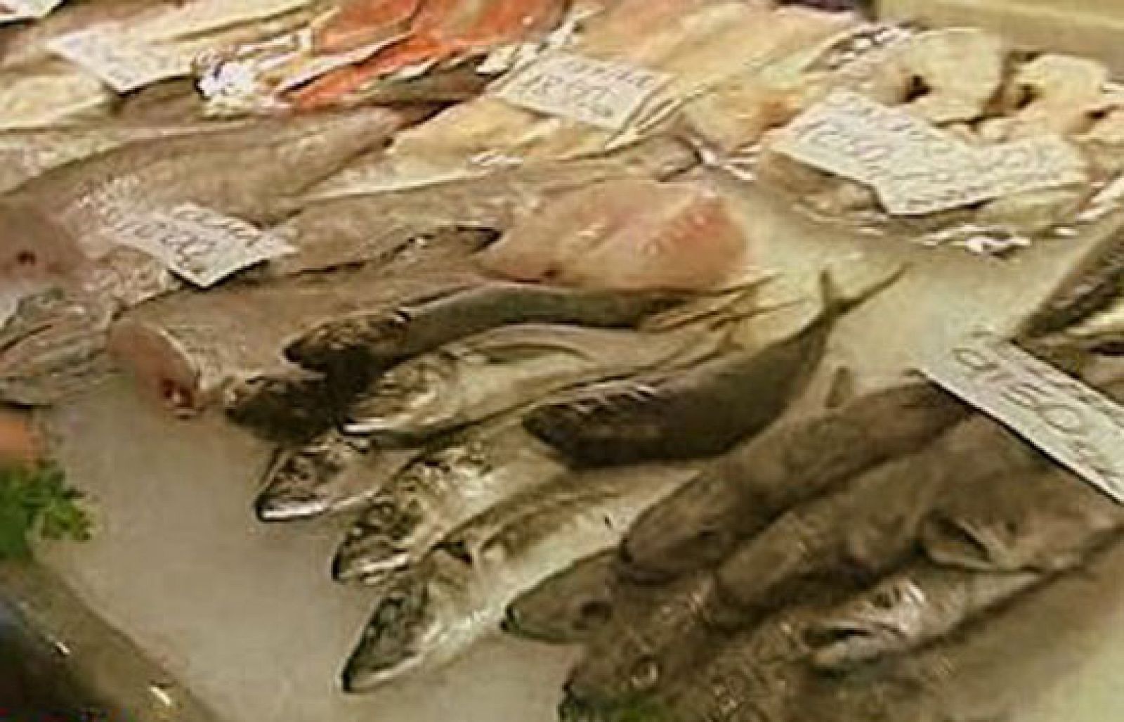 España Directo - Temporada de chicharro - RTVE Cocina | Ver