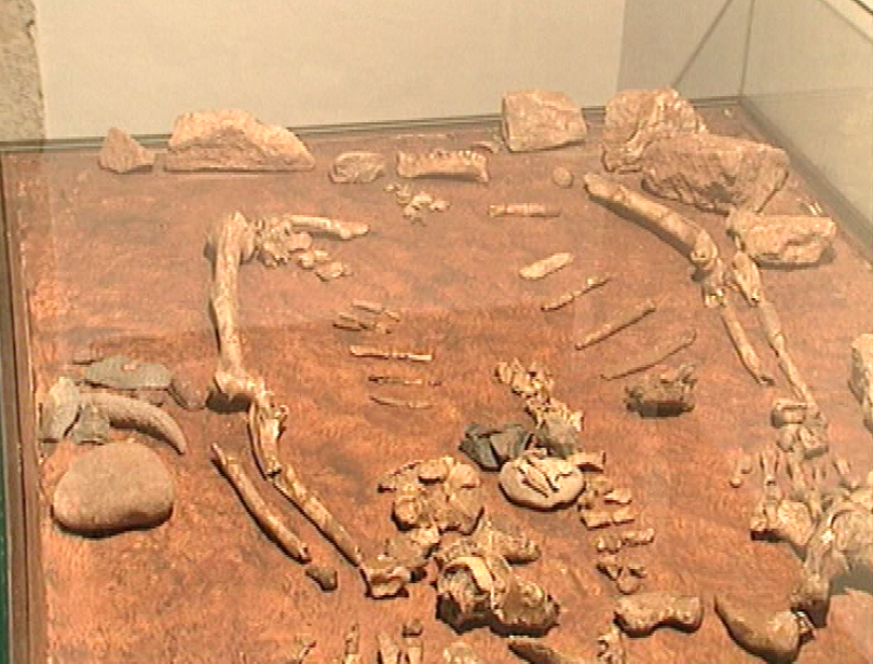 Panorama regional - 07/05/10 - Panorama Regional | Ver