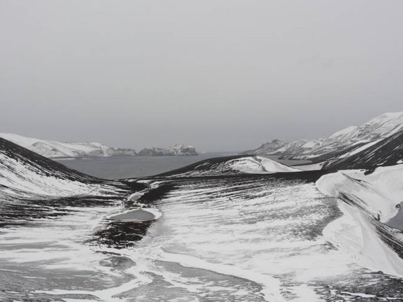 Crónicas - Antártida un continente para la ciencia (II parte) - Crónicas | Ver