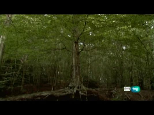 Metrópolis - Tu cuerpo, el mío