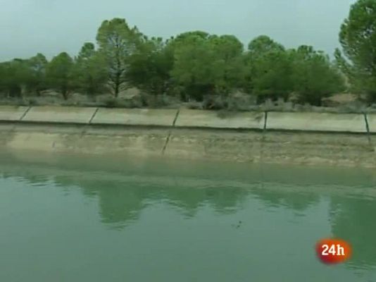 Natural - Capital Verde 2012