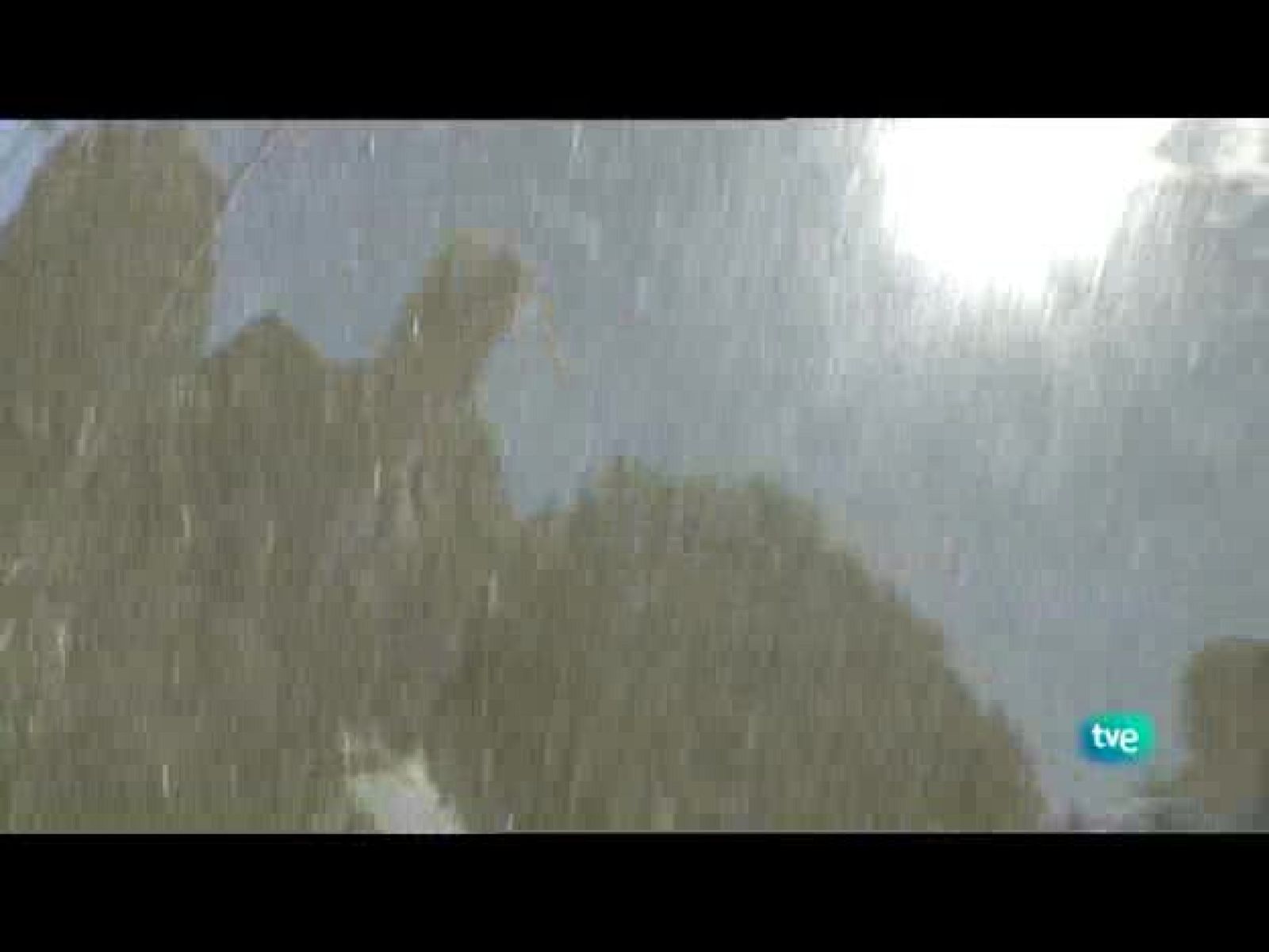 La aventura del saber - Sociedad - 11/05/10 - La aventura del Saber | Ver