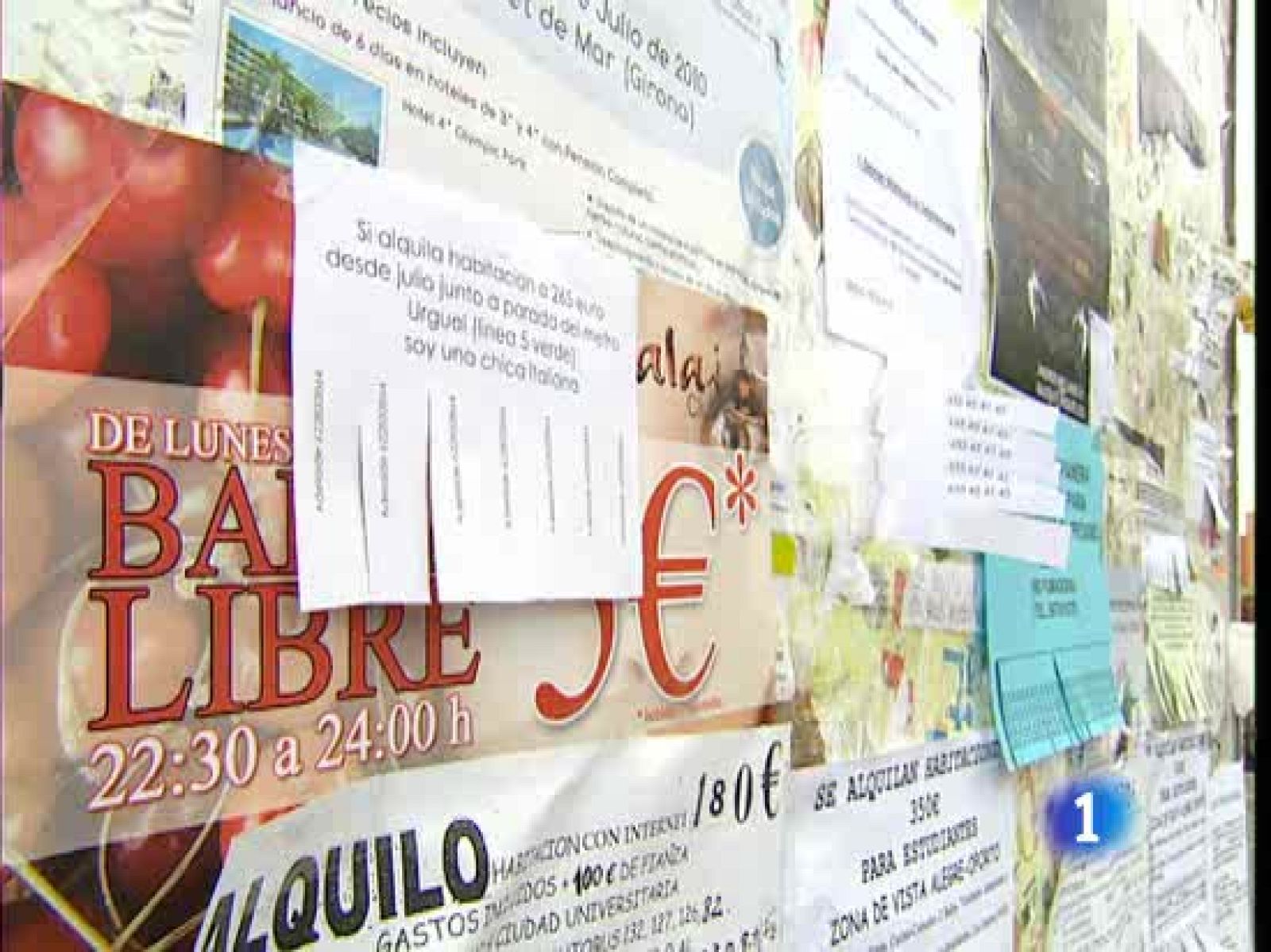 Los estudiantes de la Universidad Complutense que quieran vivir de alquiler lo tienen un poco más fácil desde hoy | Ver