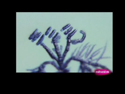 Zzz - Zzz - 06/05/10