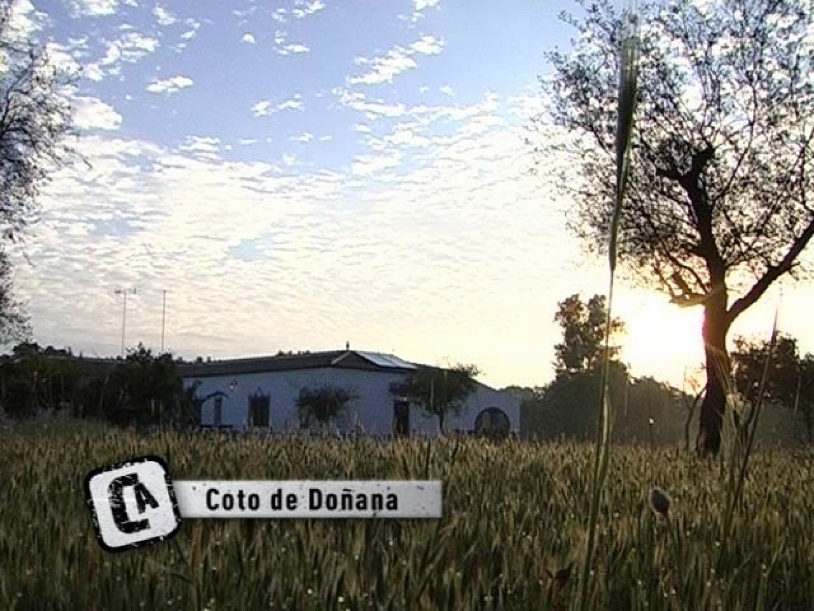 Comando Actualidad - Viviendo en Doñana - Comando Actualidad | Ver