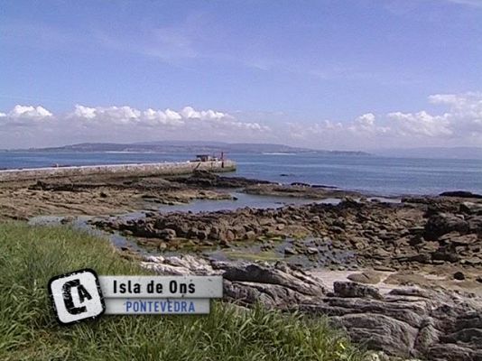 Comando Actualidad - Viviendo en una isla