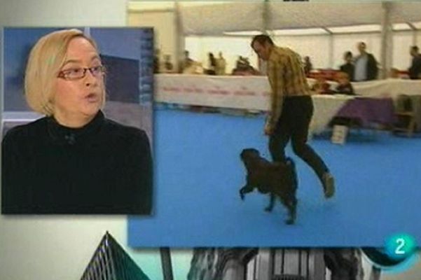 Para todos La 2 - Debates: Abandono de animales