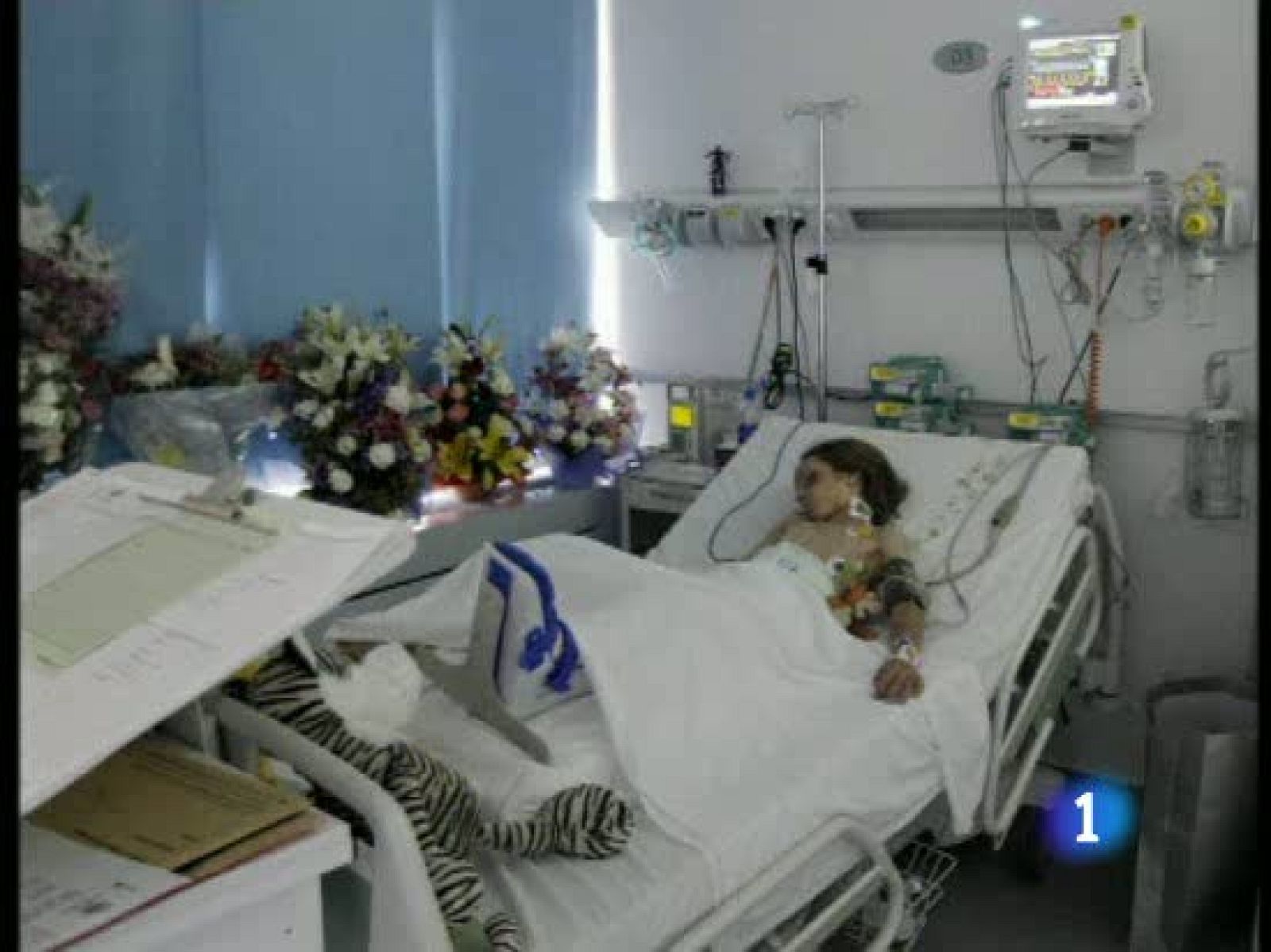 El único superviviente del accidente aéreo del miércoles en Libia evoluciona muy bien de sus heridas | Ver