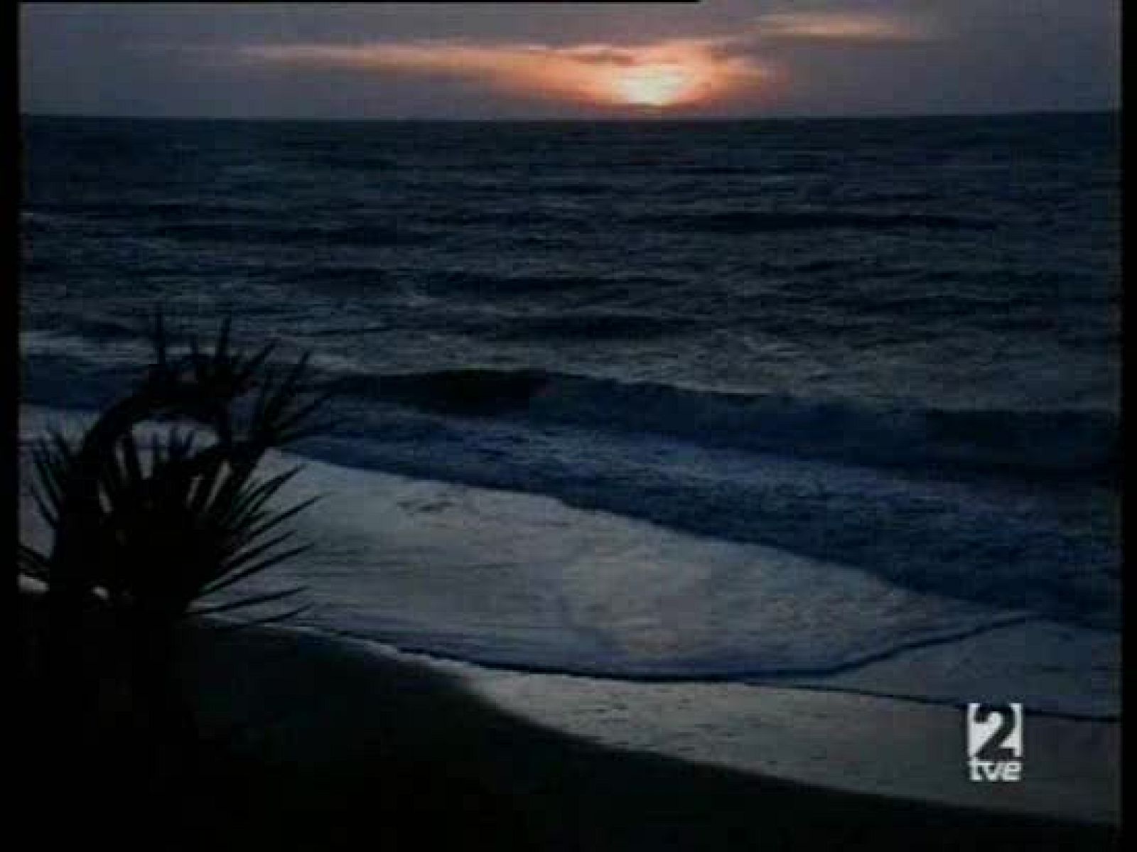 A pedir de boca - Vinos de Jerez - A pedir de boca | Ver