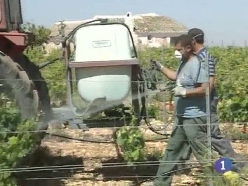 Noticias de Castilla - La Mancha. Informativo de Castilla - La Mancha. (18/05/10)