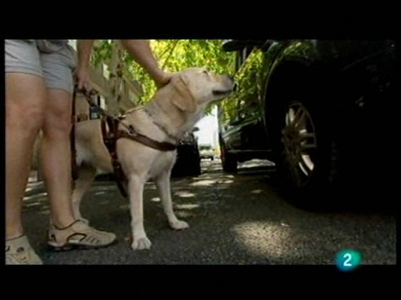 El mundo se mueve contigo - Programa 11 - El mundo se mueve contigo | Ver