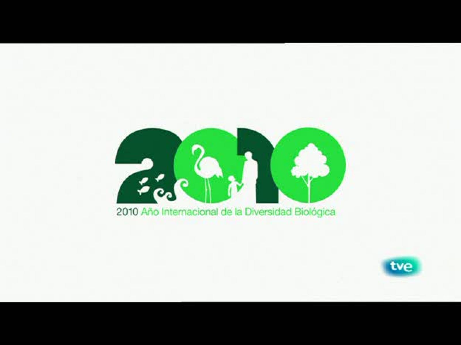 Biodiario - La collalba negra