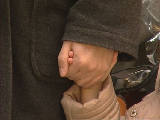  - Custodia compartida de los hijos