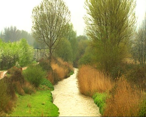 El escarabajo verde - Carretera de dos direcciones
