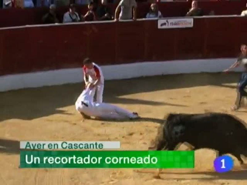 Telenavarra. Informativo Territorial de Navarra (24/05/10)