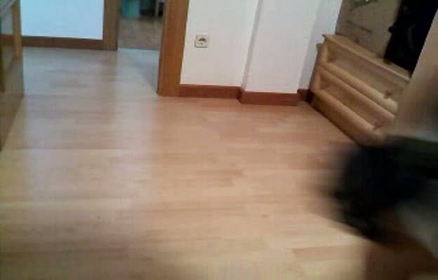  - CASCO LORENZO - 21188