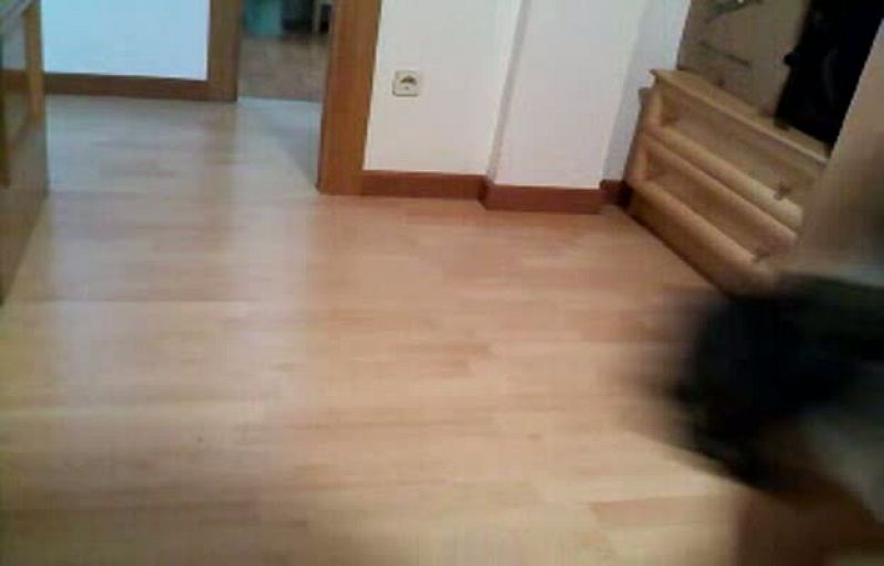 CASCO LORENZO - 21188