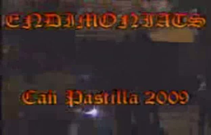 ENDIMONIATS DE PALMA - 21233