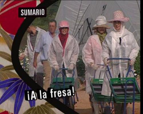 Babel en TVE - ¡A la fresa!