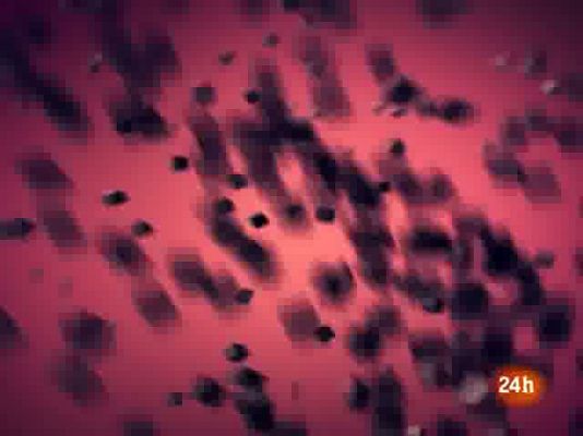 La tarde en 24h - Segunda hora - 24/05/10