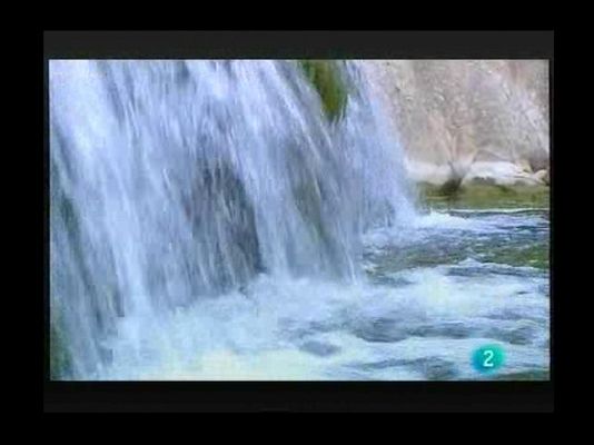 Terra Verda - Estalvi en l'abundor