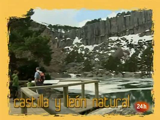 Natural - Un norte verde