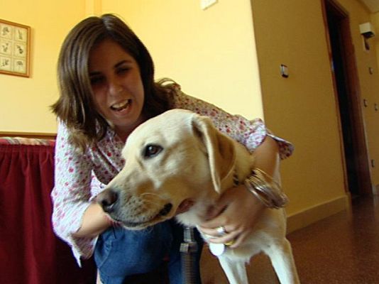 El mundo se mueve contigo - Vidas adaptadas: capítulo 12